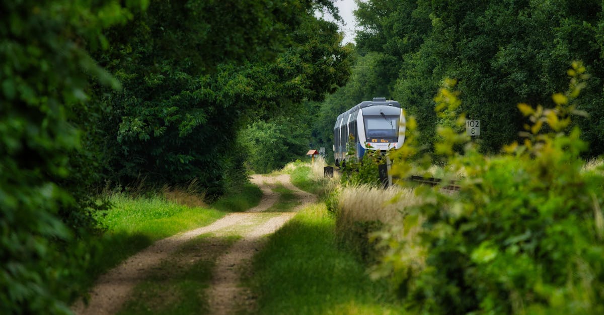 explore sustainable and eco-friendly travel tips, destinations, and practices to minimize your environmental impact while enjoying unforgettable adventures.