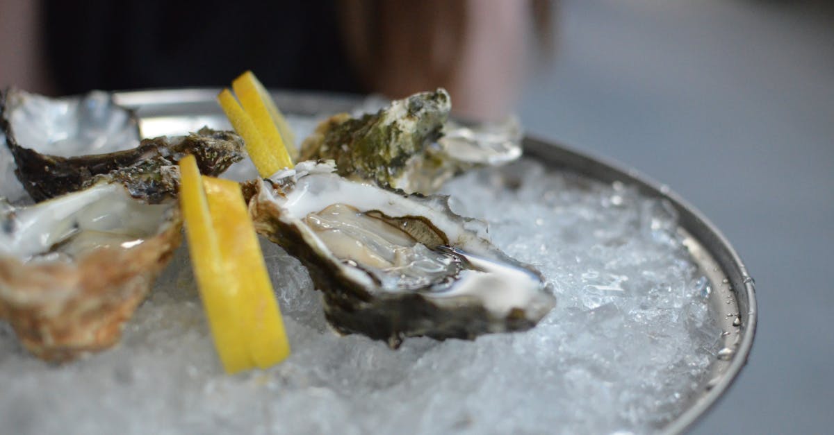 discover the best oyster bars offering fresh, delicious oysters and a vibrant atmosphere. perfect for seafood lovers seeking an unforgettable dining experience.