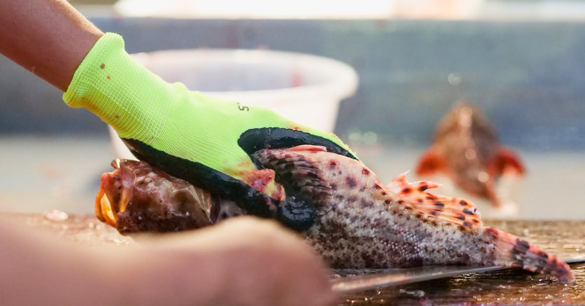 discover efficient and sustainable seafood sourcing solutions to meet your business needs with quality and traceability.