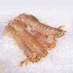discover everything about shellfish, including types, health benefits, recipes, and sustainable sourcing tips for delicious and nutritious seafood.