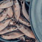explore sustainable fishing practices that protect marine ecosystems while supporting fishing communities and ensuring a healthy balance for future generations.